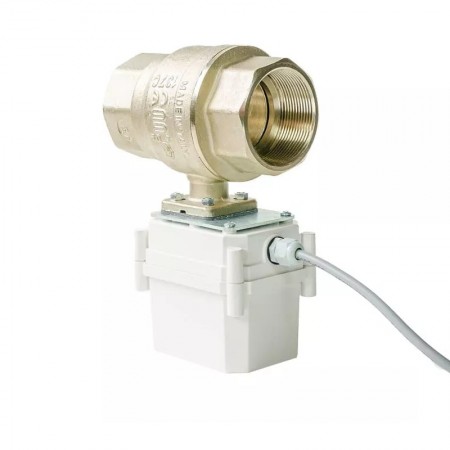 ��� PROFESSIONAL 220V ENOLGAS 1 1/4�